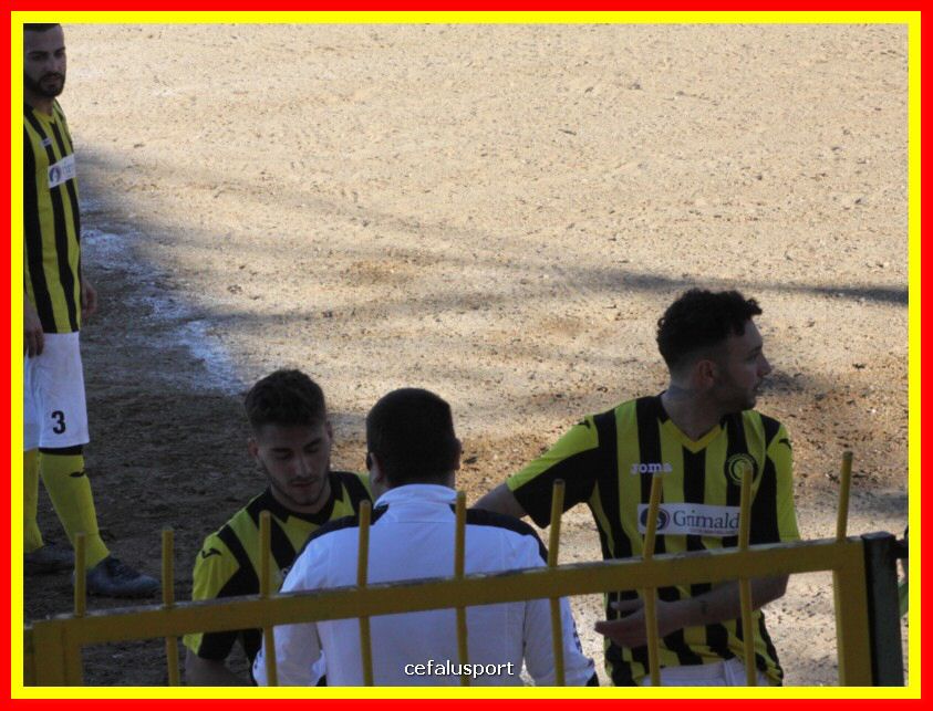 190310 Cephal_Torrenov 161_tn.jpg